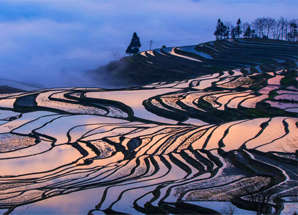 terrazas de arrozales en Yuanyang