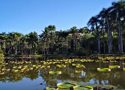 Jardín Botánico Tropical